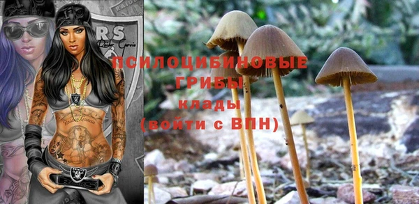 спайс Балабаново