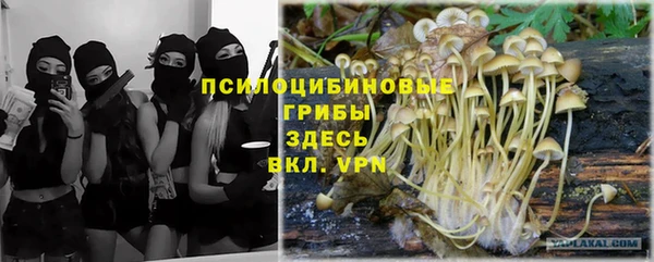 спайс Балабаново