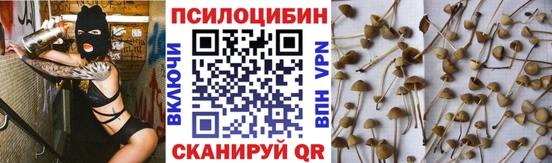 Псилоцибиновые грибы Magic Shrooms  купить наркотик  Усолье-Сибирское 